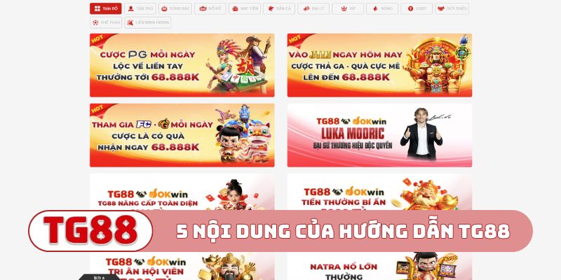 5 nội dung quan trọng của hướng dẫn TG88