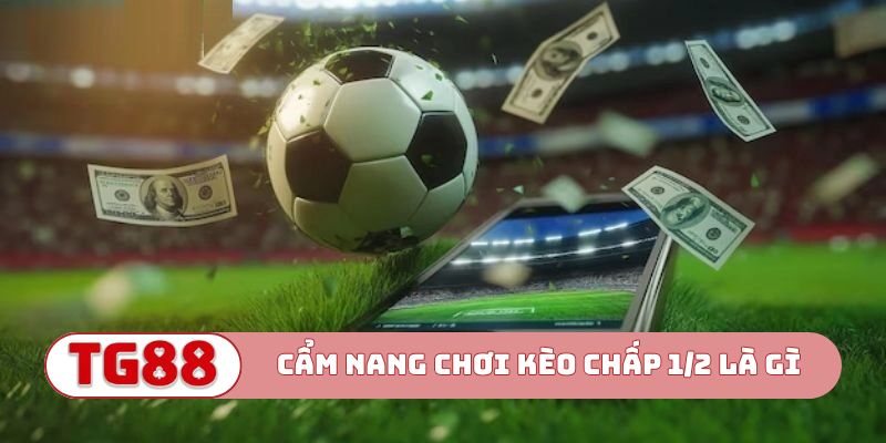 Cẩm nang chơi kèo chấp 1/2 là gì tốt hơn