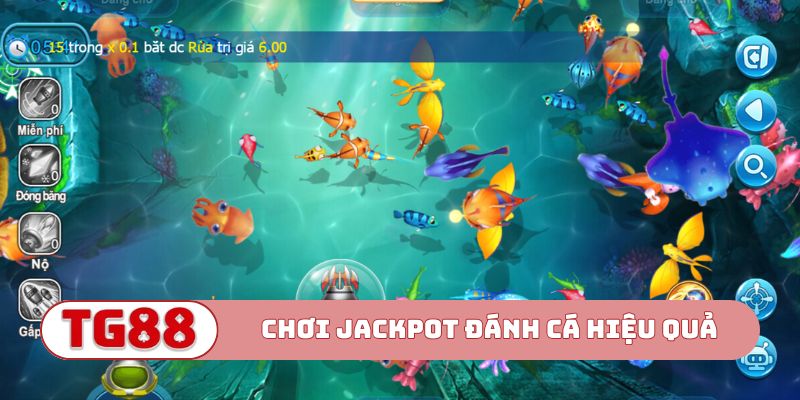 Chỉ dẫn cách chơi Jackpot đánh cá hiệu quả