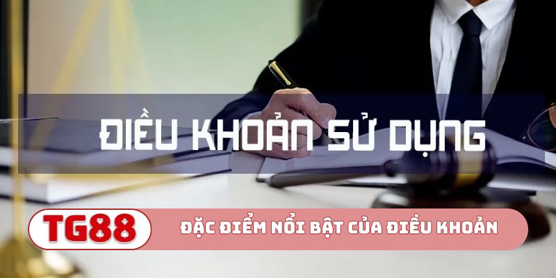 Đặc điểm nổi bật của điều khoản & điều kiện