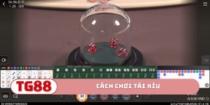 Cách chơi tài xỉu