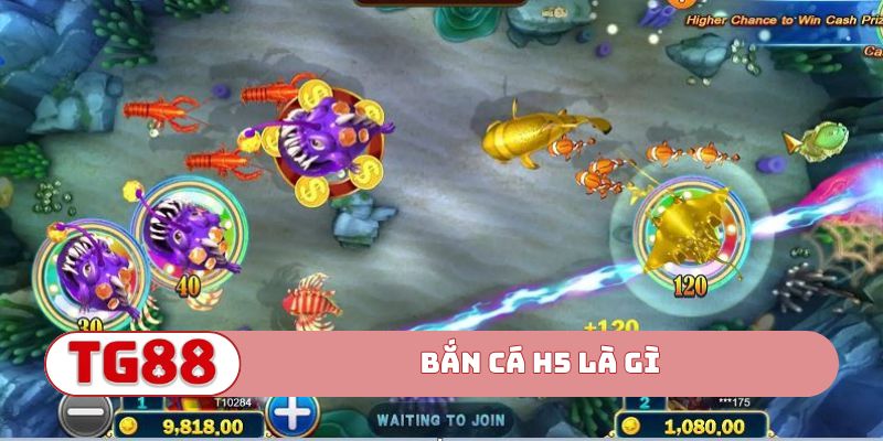 Bắn cá H5 là gì