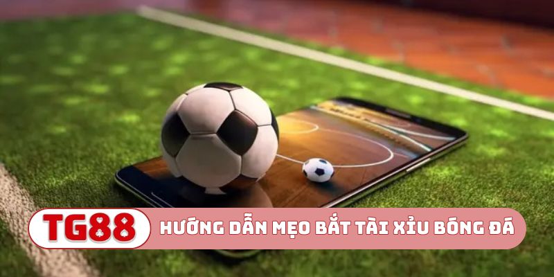 Hướng dẫn mẹo bắt tài xỉu bóng đá chính xác