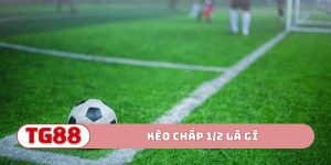 Kèo chấp 1/2 là gì