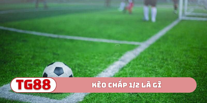 Kèo chấp 1/2 là gì