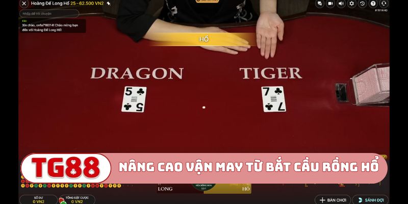 Nâng cao vận may từ phương pháp bắt cầu rồng hổ