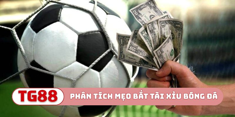 Phân tích mẹo bắt tài xỉu bóng đá như chuyên gia