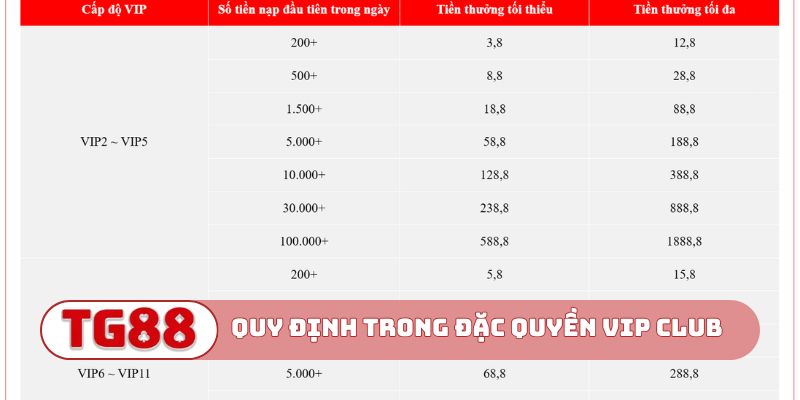 Quy định trong Đặc quyền VIP CLUB