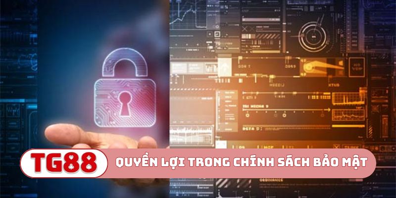 Quyền lợi người dùng trong chính sách bảo mật