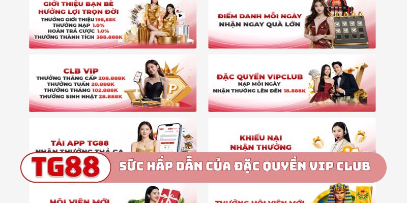 Sức hấp dẫn của Đặc quyền VIP CLUB