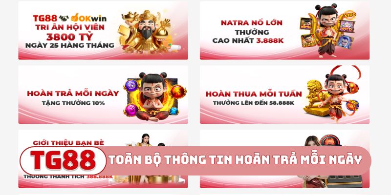 Toàn bộ thông tin hoàn trả mỗi ngày