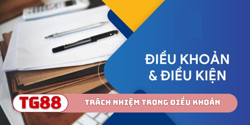 Trách nhiệm người dùng trong điều khoản & điều kiện