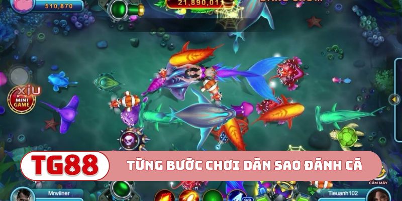 Từng bước chơi Dàn sao đánh cá dễ nhớ
