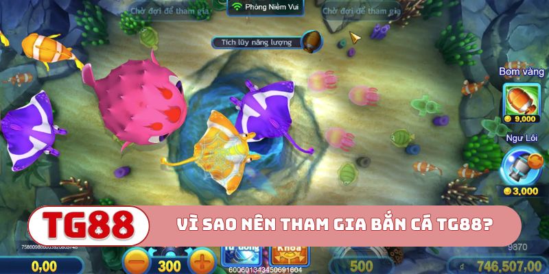 Vì sao anh em nên tham gia bắn cá TG88?