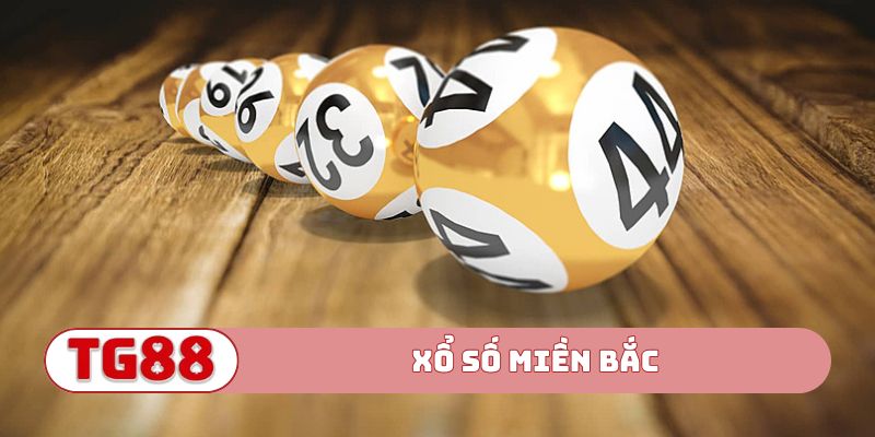 Xổ Số Miền Bắc – Hướng Dẫn Soi Cầu Và Tra Cứu Chuẩn